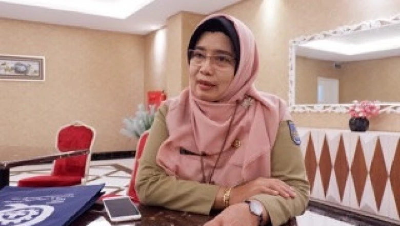 Ini Kata Dinkes Depok Perihal Kasus di RSUD Asa dan Kematian Bayi di Puskesmas Tapos